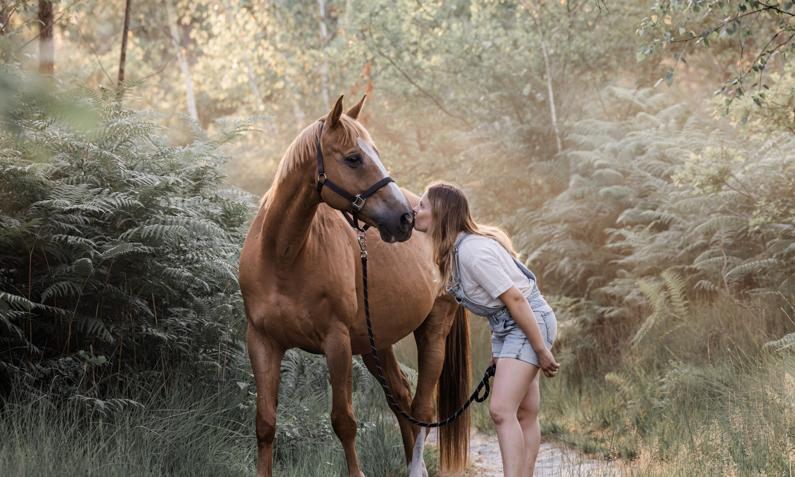 Photographie animalière portrait d'Apollon (cheval) et Cyrielle.