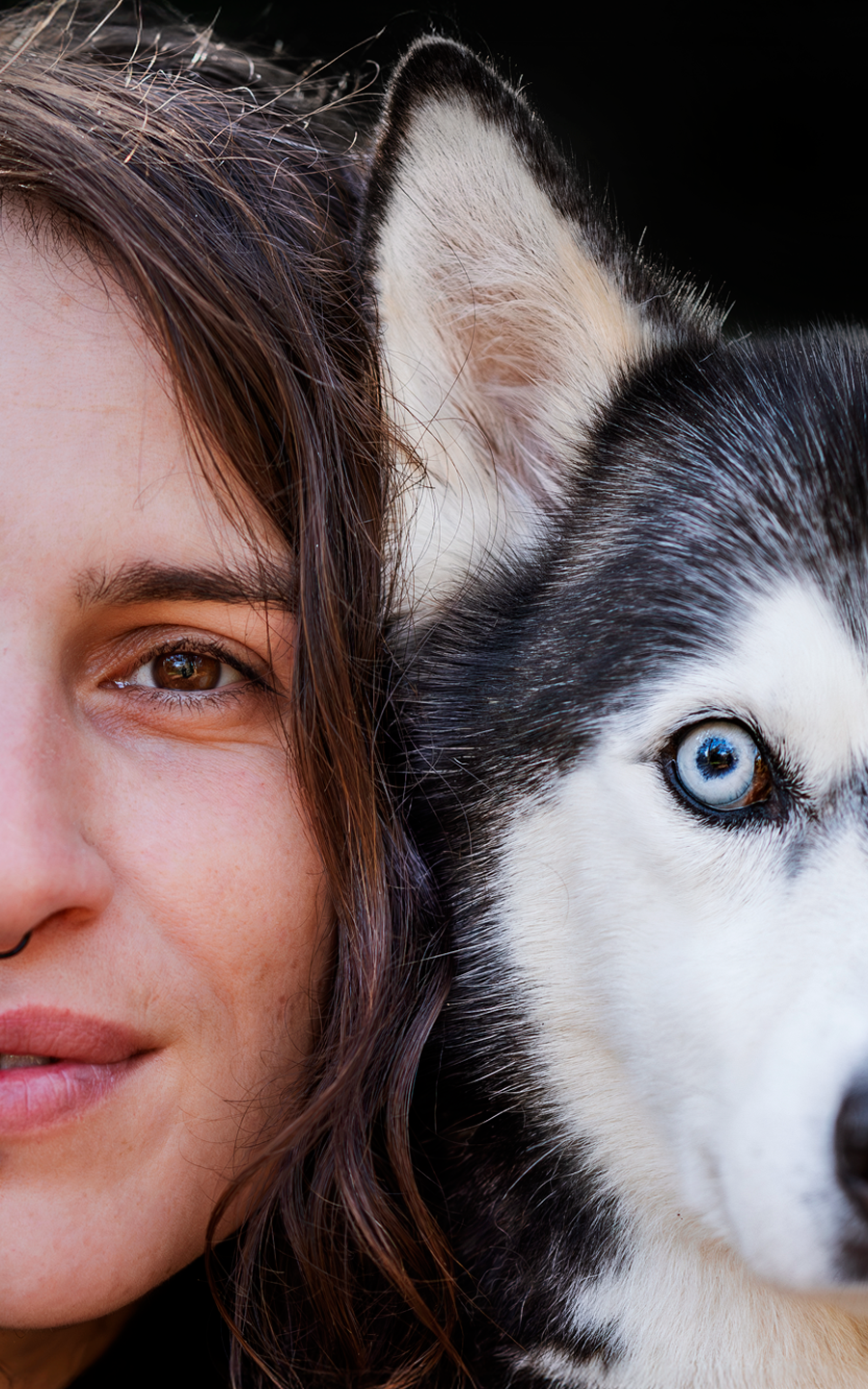 SHOOTING_CANIN_OEIL_A_OEIL